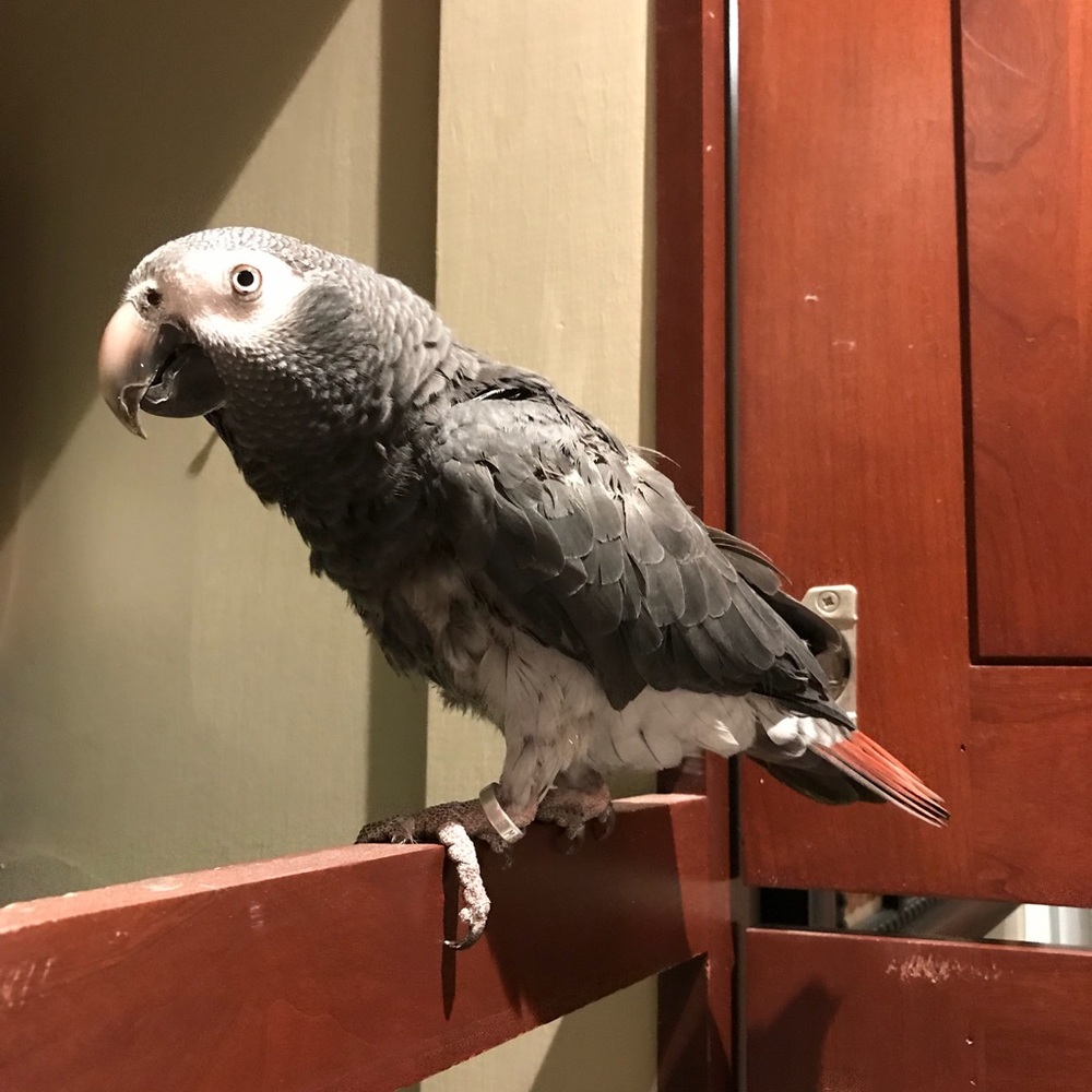 Meet your Posher, Jamie